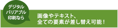 画像やテキスト、全ての要素が差し替え可能！