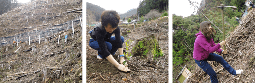 2011年 植林活動写真2