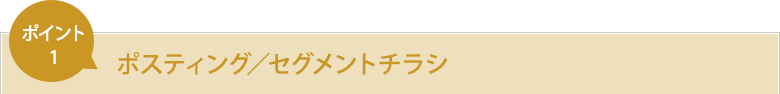 ポスティング/セグメントチラシ